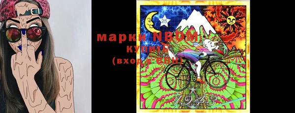 прущий лед Бородино