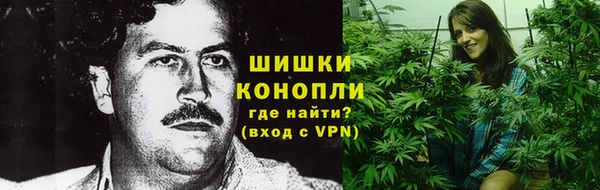 МДПВ Бронницы