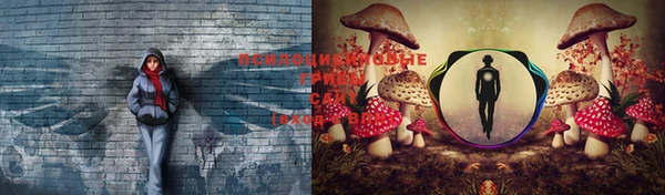 МДПВ Бронницы