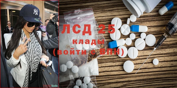 прущий лед Бородино