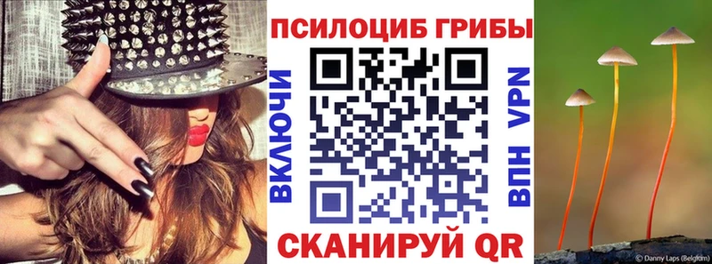 Псилоцибиновые грибы MAGIC MUSHROOMS Прокопьевск